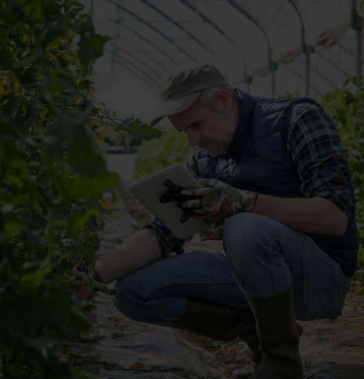 Rigorous Quality Control 