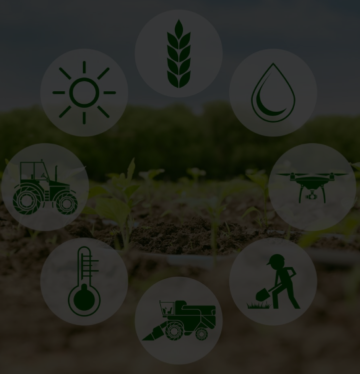 Professional Technical Support 