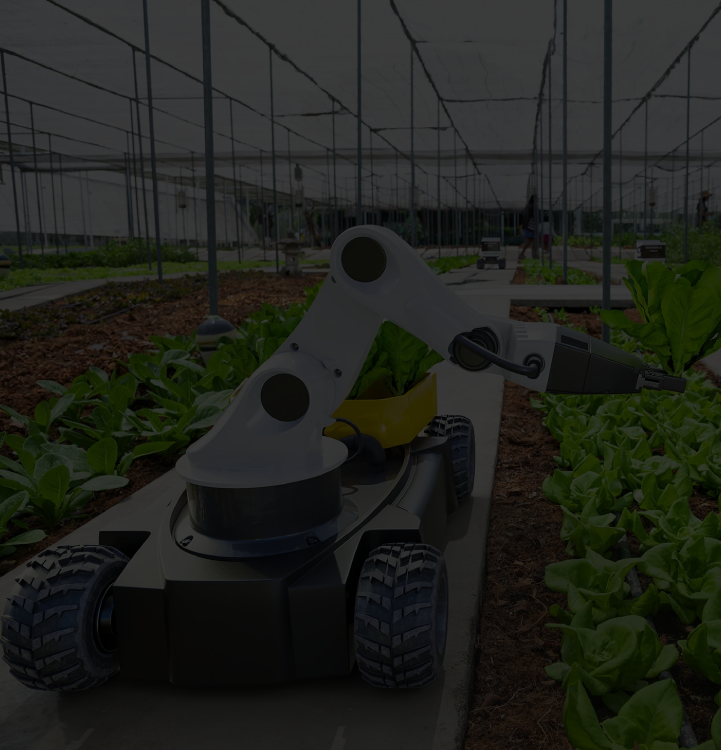 Product Upgrades and Innovation  