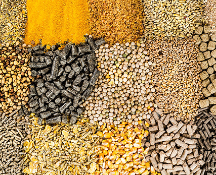 Feed Ingredient