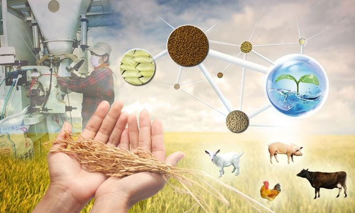 一个赞比亚企业产能焕发新机